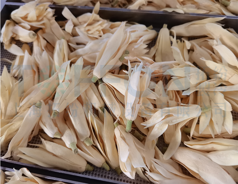 白玉蘭凍干，果蔬真空冷凍干燥機(jī)應(yīng)用案例