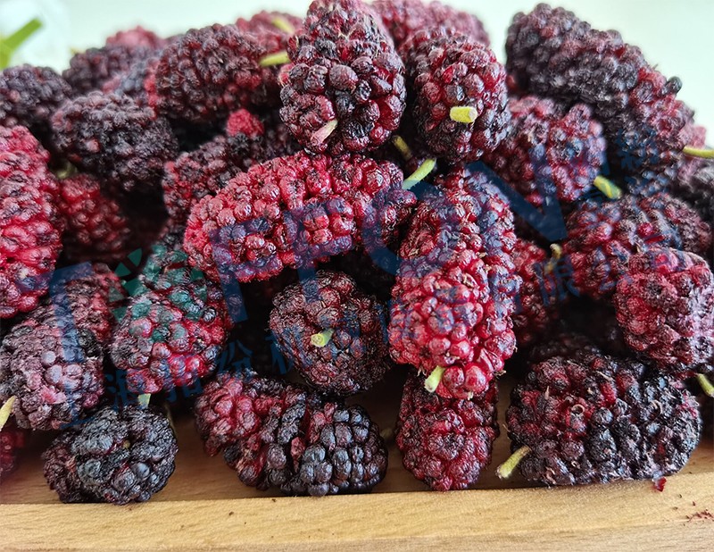 冷凍干燥機(jī)|凍干機(jī)|真空冷凍干燥機(jī)|大型冷凍干燥機(jī)|食品凍干機(jī)|制藥真空冷凍干燥機(jī)|食品凍干設(shè)備|制藥冷凍干燥機(jī)