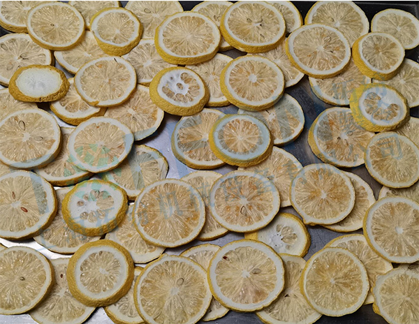 冷凍干燥機|凍干機|真空冷凍干燥機|大型冷凍干燥機|食品凍干機|制藥真空冷凍干燥機|食品凍干設備|制藥冷凍干燥機