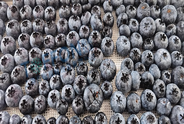 冷凍干燥機|凍干機|真空冷凍干燥機|大型冷凍干燥機|食品凍干機|制藥真空冷凍干燥機|食品凍干設(shè)備|制藥冷凍干燥機