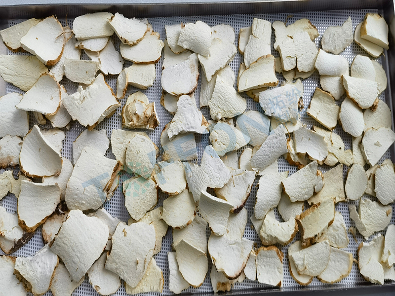 黃精凍干:中藥材凍干機(jī)應(yīng)用于黃精真空冷凍干燥案例