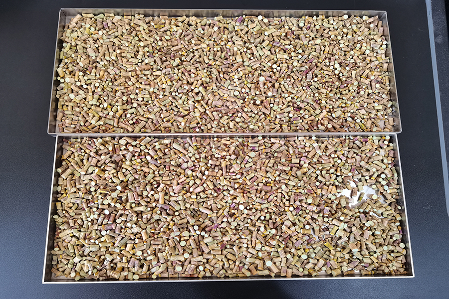 石斛凍干：凍干機(jī)應(yīng)用石斛冷凍干燥工藝流程