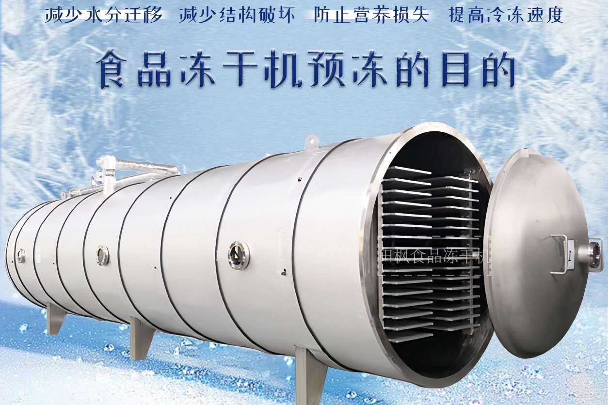 17288051801569.jpg 17288051801569.jpg