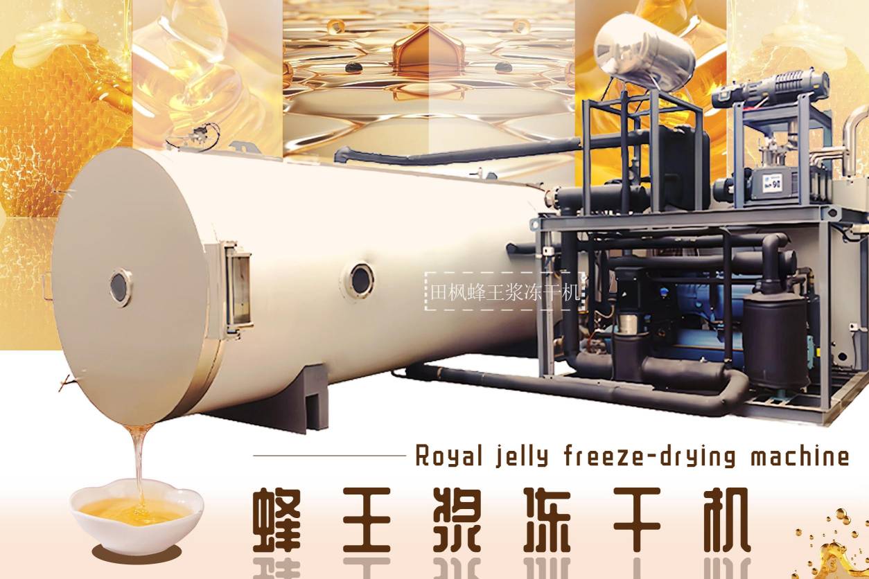 17288058009199.jpg 17288058009199.jpg