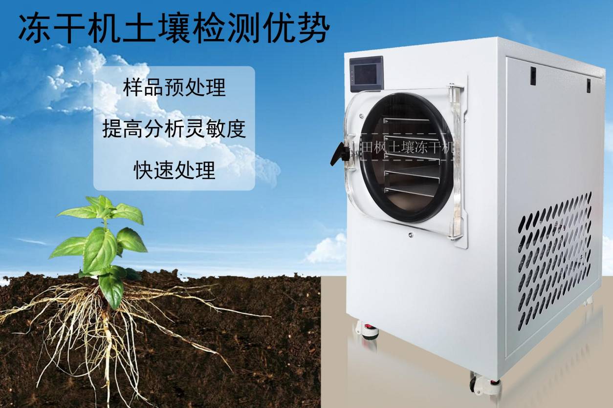 17290393434367.jpg 17290393434367.jpg