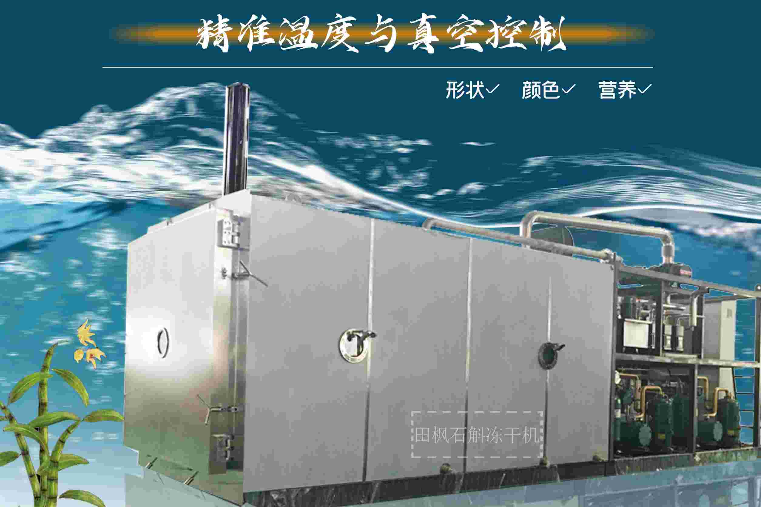 17291255203694.jpg 17291255203694.jpg