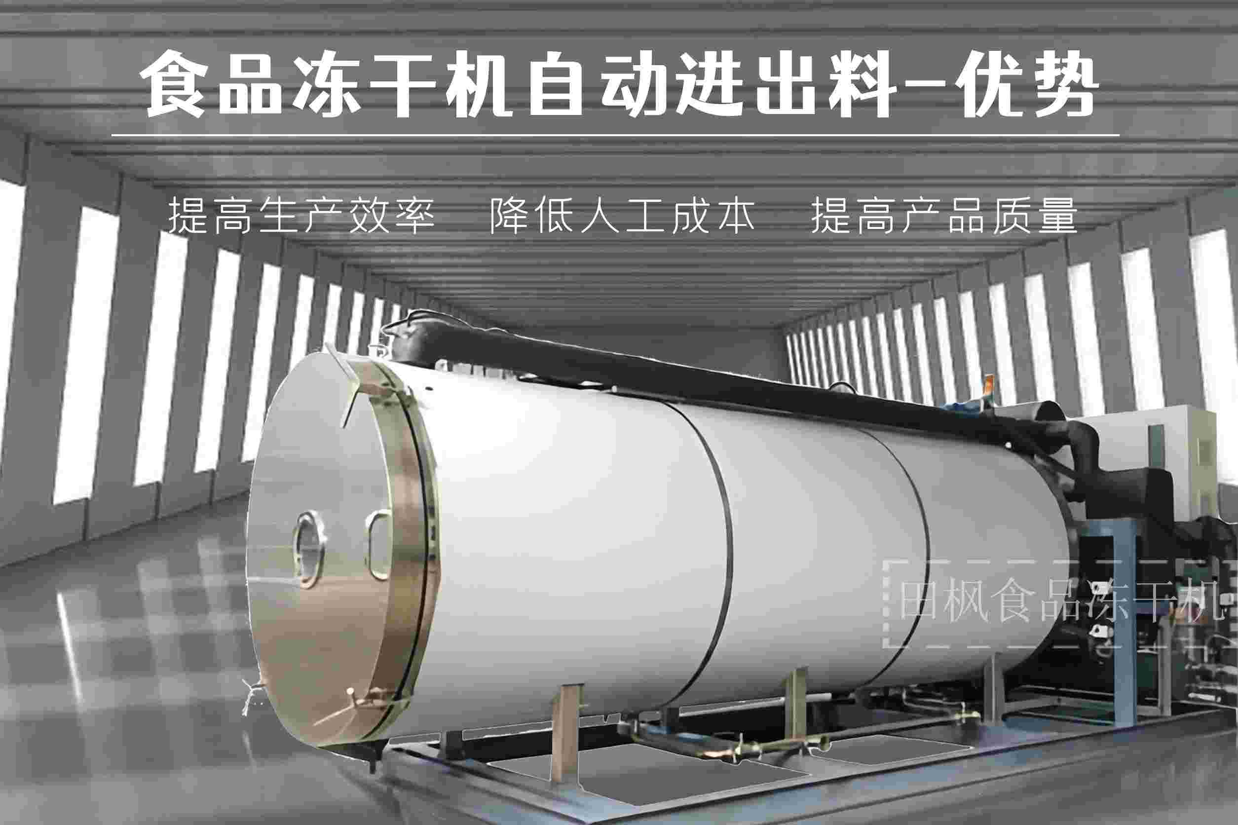 17294725066215.jpg 17294725066215.jpg