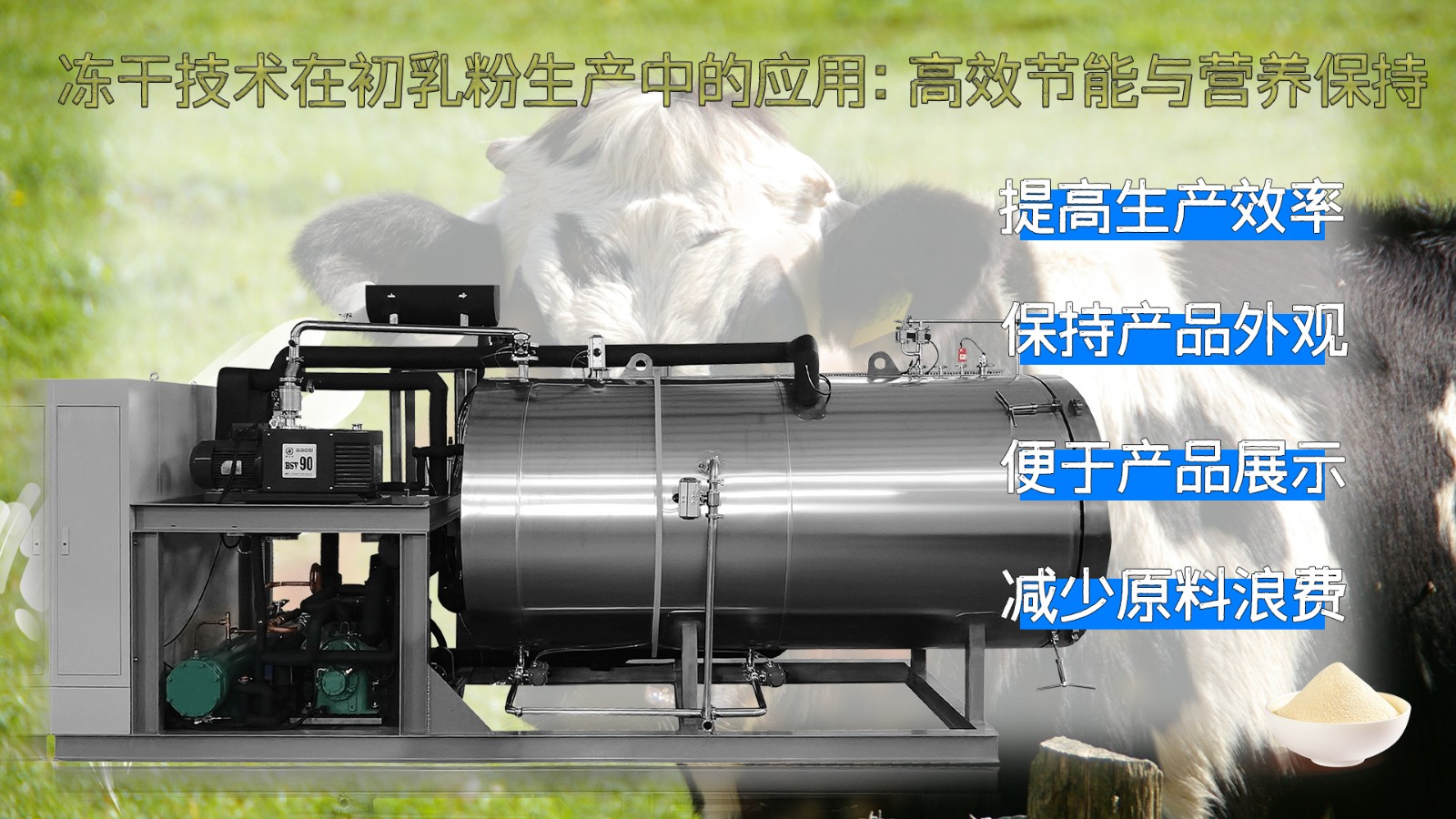 17299175321556.jpg 17299175321556.jpg