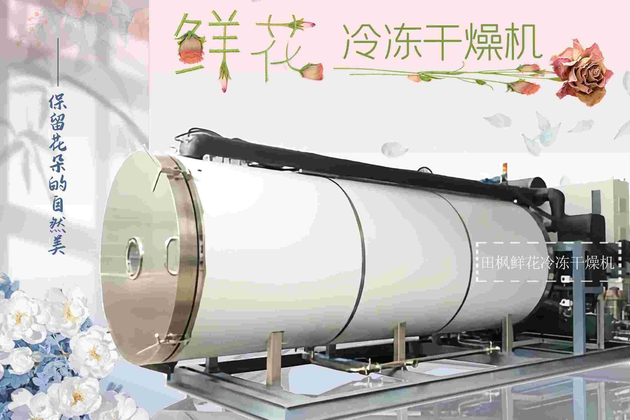 17313041277640.jpg 17313041277640.jpg