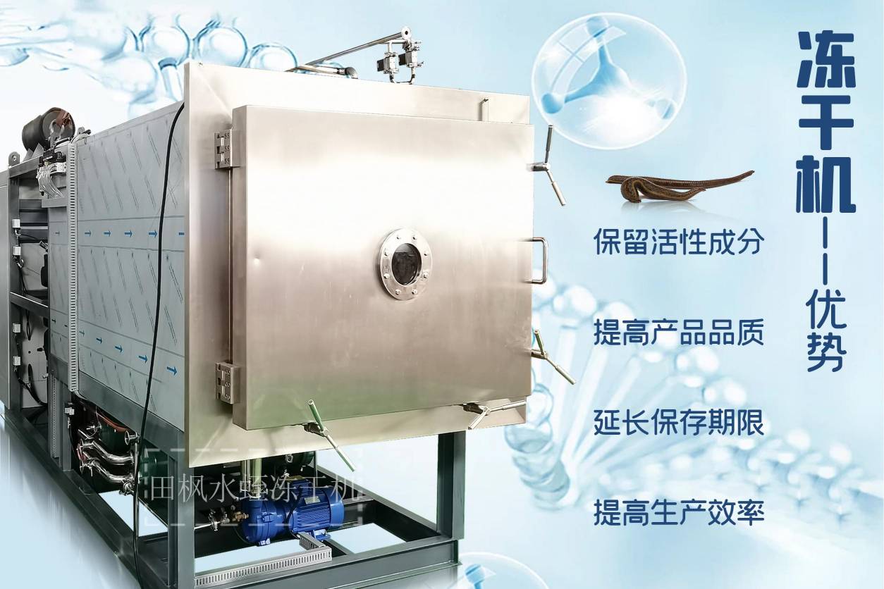 17326690699932.jpg 17326690699932.jpg