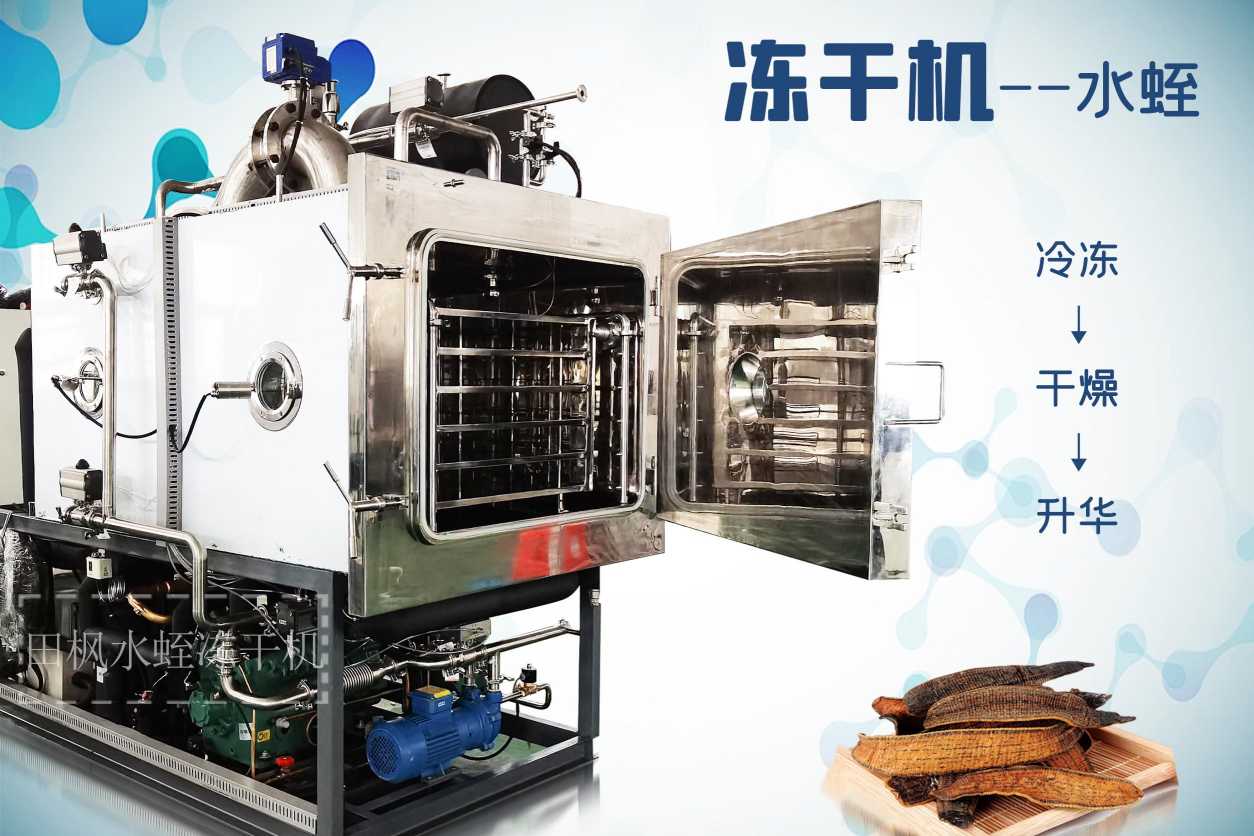 17326693404966.jpg 17326693404966.jpg