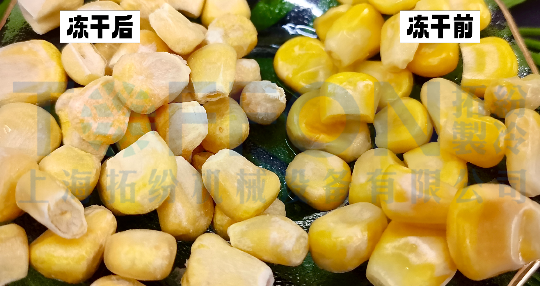 17416722341675.png 圖片 1.png