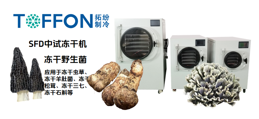 17525480159554.png 圖片 2.png