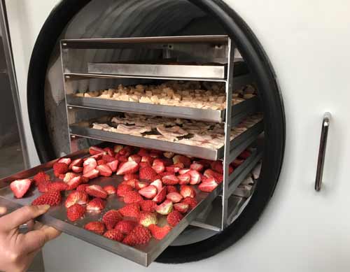 草莓凍干 草莓凍干